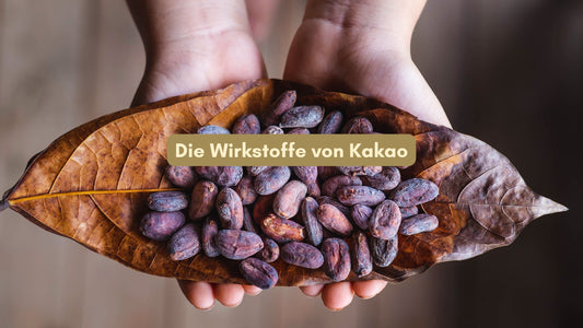 Kakao Wirkstoffe