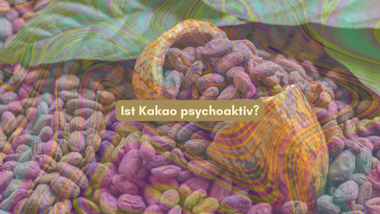 psychoaktiver kakao